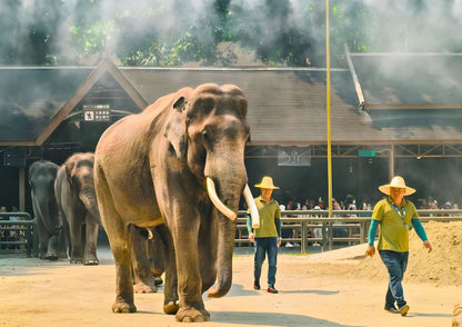 14 DAYS XISHUANGBANNA PRIVATE TOUR