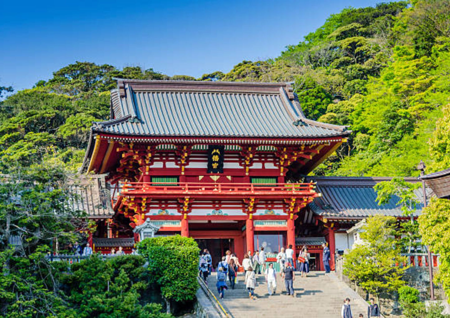 7 DAYS SOUTH KANTO PRIVATE TOUR