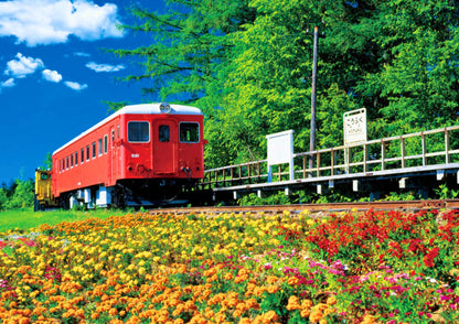 7日間の北海道道東プライベートツアー