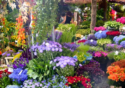 11 天荷蘭、比利時、盧森堡私人包團