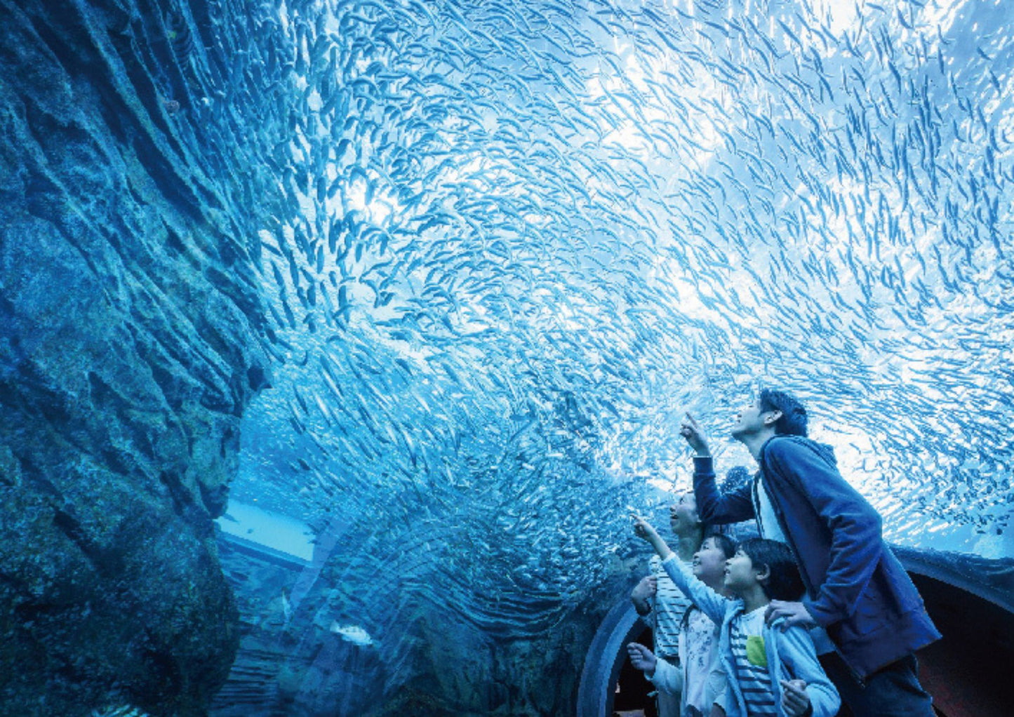 10天甲信越私人包團