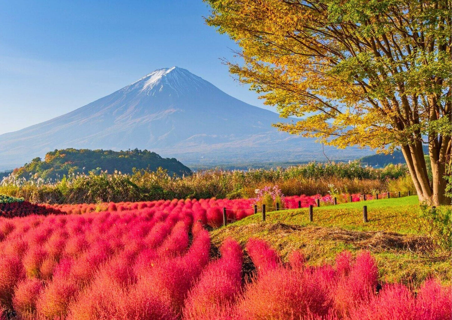 10天甲信越私人包團