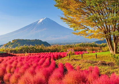 10天甲信越私人包團