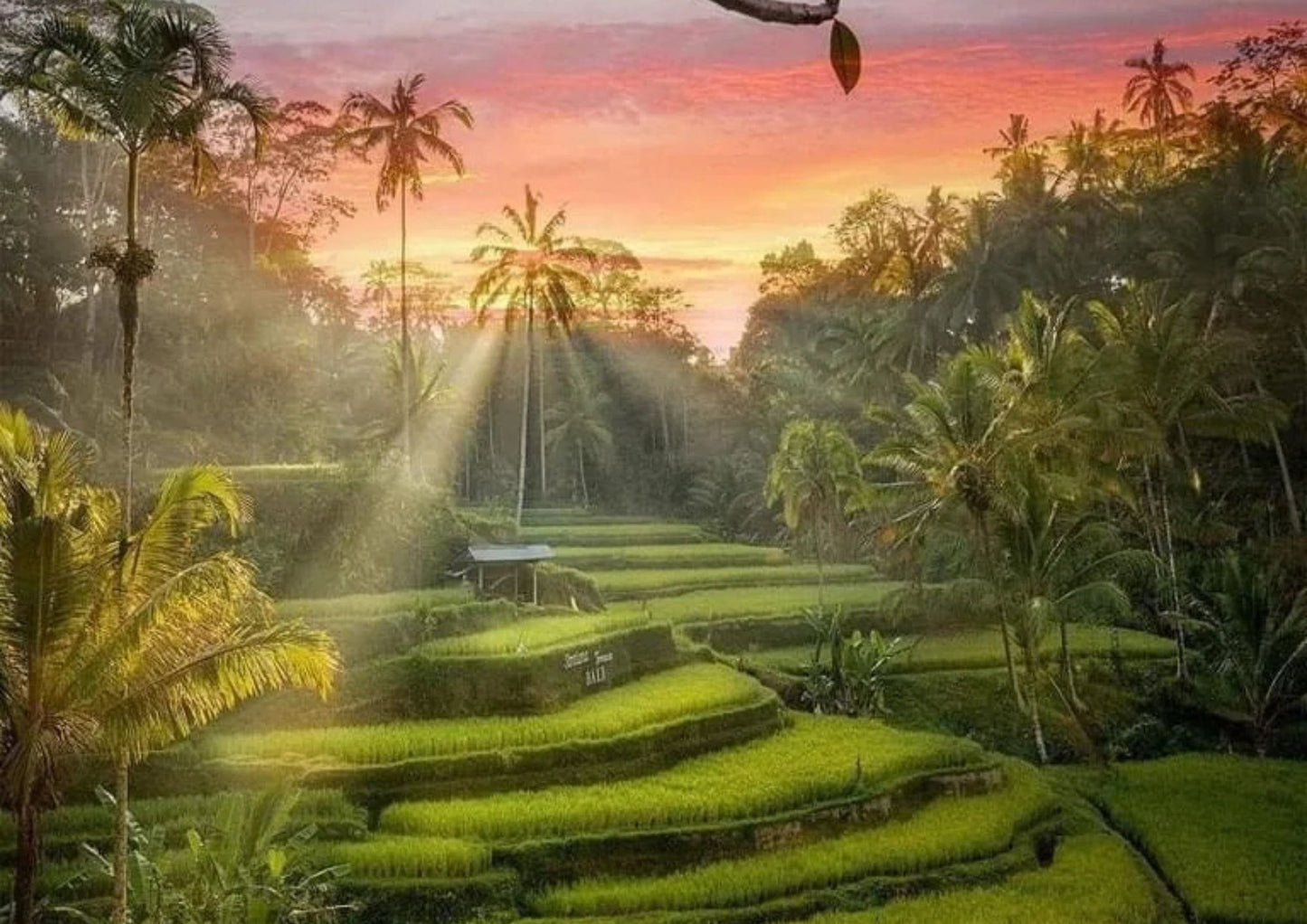 6 DAYS BALI PRIVATE TOUR