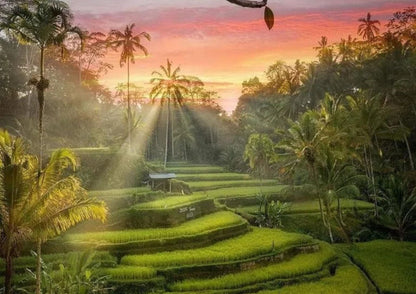 6 DAYS BALI PRIVATE TOUR