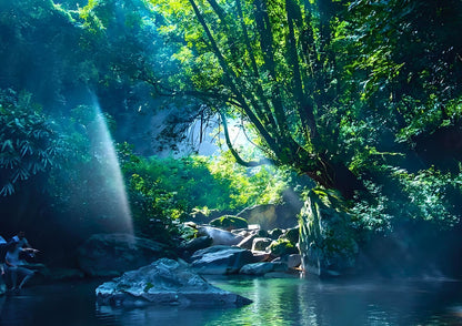 14 DAYS XISHUANGBANNA PRIVATE TOUR