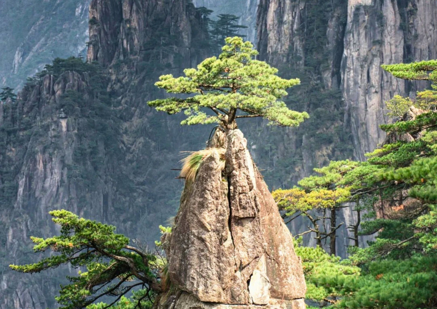 7日間の黄山プライベートツアー