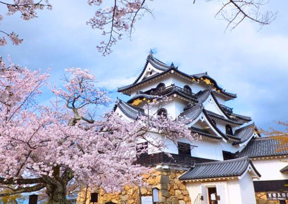 5 DAYS EAST KANSAI PRIVATE TOUR