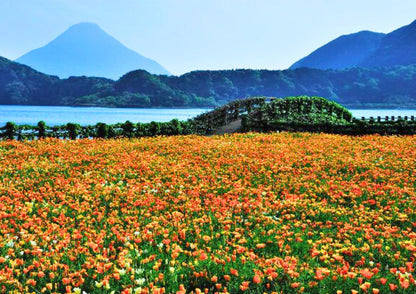 7 DAYS SOUTH KYUSHU PRIVATE TOUR