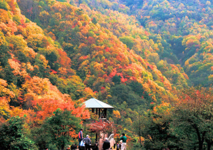 11 DAYS TOHOKU PRIVATE TOUR