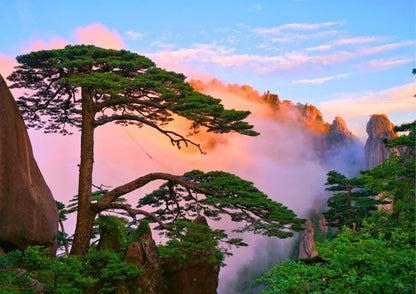 7日間の黄山プライベートツアー