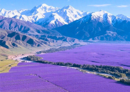10 DAYS NORTH & WEST XINJIANG PRIVATE TOUR