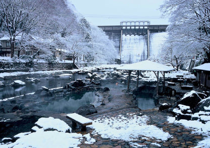 14天山陽・山陰私人包團