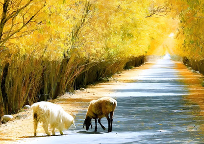 7 DAYS SOUTH XINJIANG PRIVATE TOUR