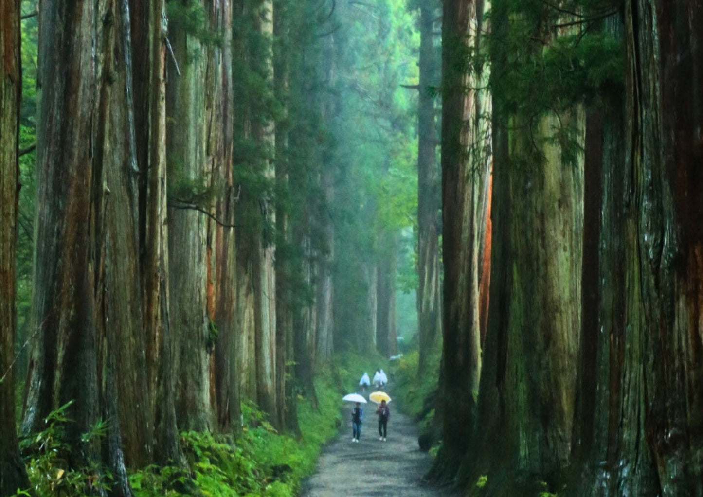 13天甲信越私人包團