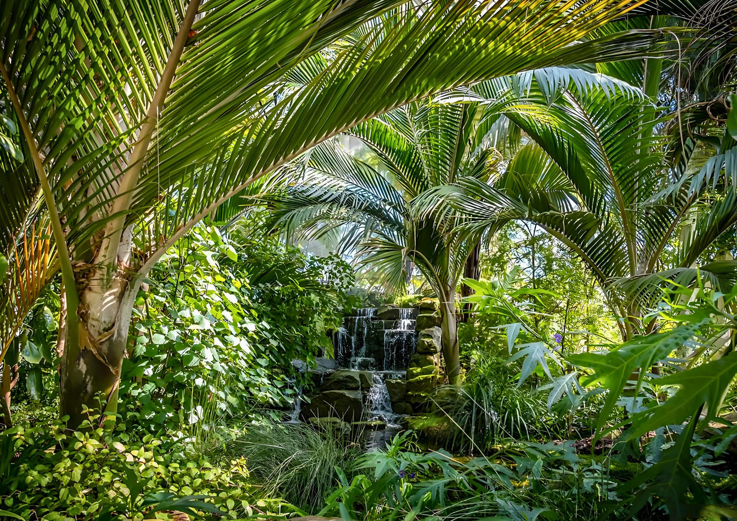 14 DAYS XISHUANGBANNA PRIVATE TOUR