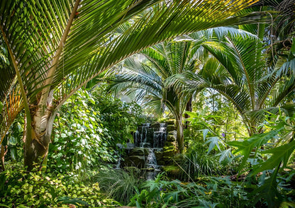 14 DAYS XISHUANGBANNA PRIVATE TOUR