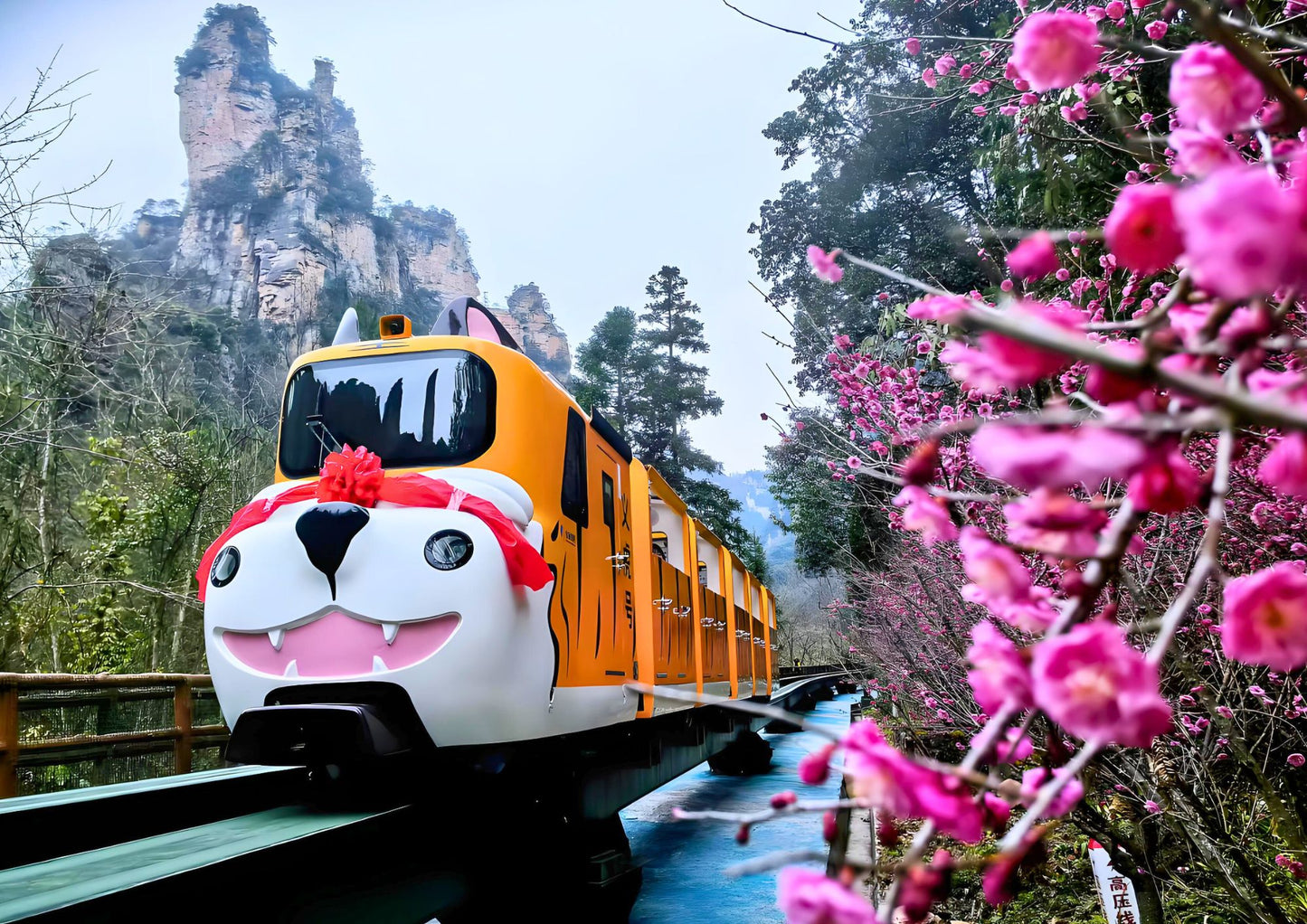 7日間の張家界プライベートツアー