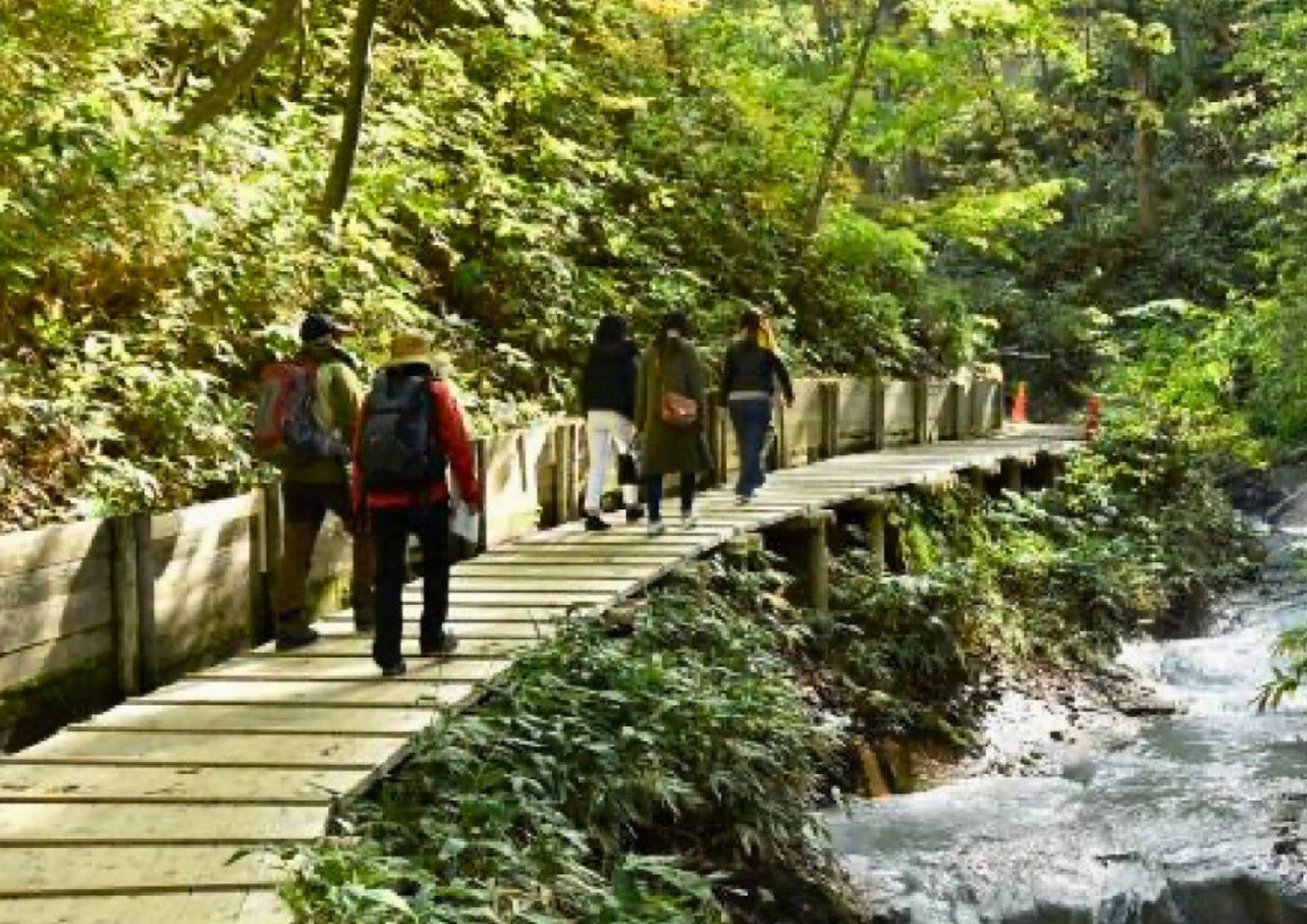 6 天北海道道南私人包團