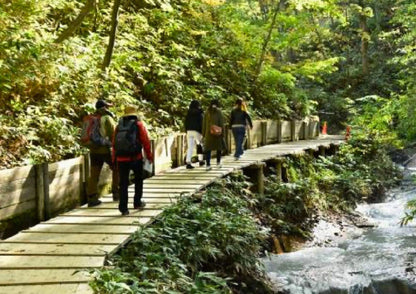 7 天北海道道南私人包團