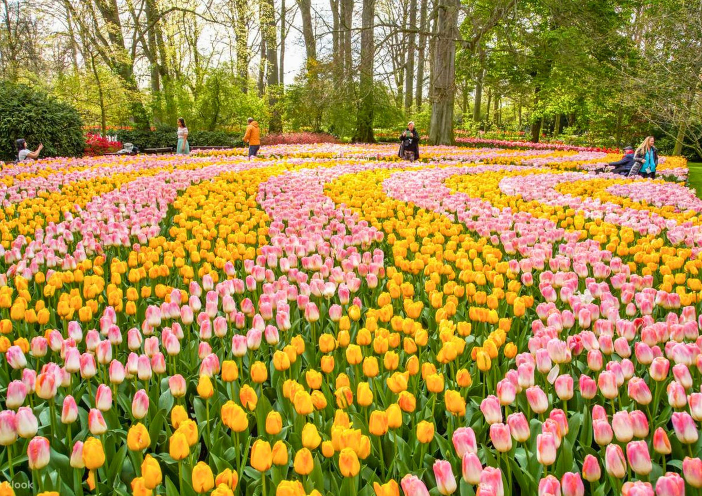 11 天荷蘭、比利時、盧森堡私人包團