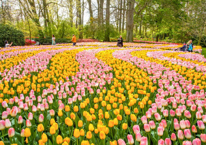 11 天荷蘭、比利時、盧森堡私人包團