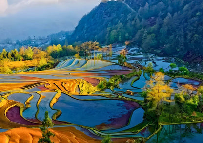 14 DAYS XISHUANGBANNA PRIVATE TOUR