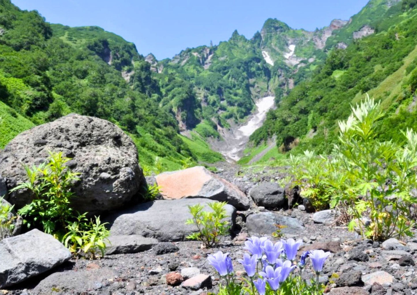 7 天北海道道北私人包團