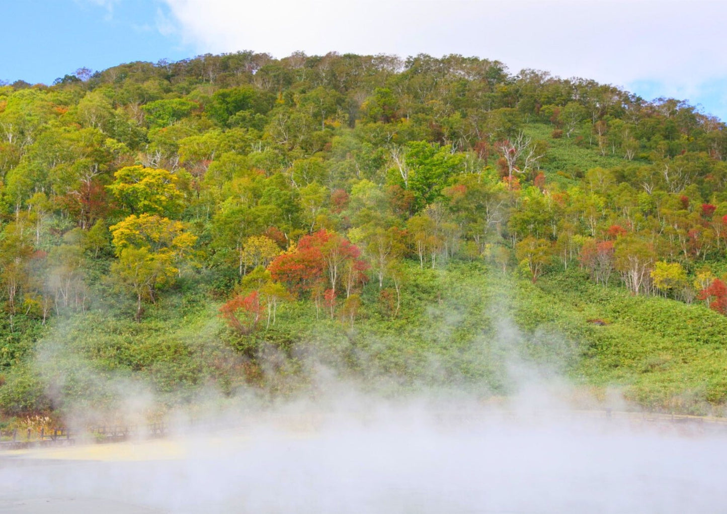 5 DAYS SOUTH HOKKADIO PRIVATE TOUR