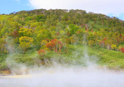 6 天北海道道南私人包團