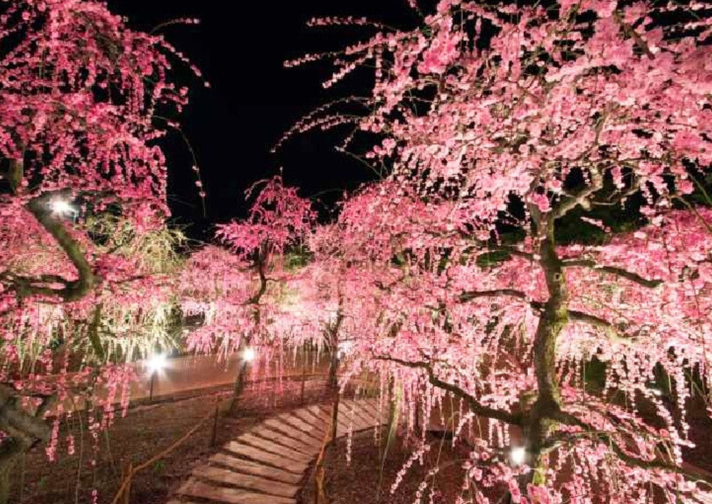 8日間の北陸プライベートツアー