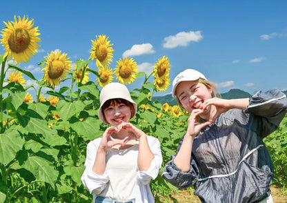 10天甲信越私人包團