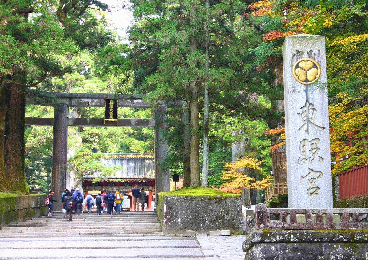 6天北關東私人包團