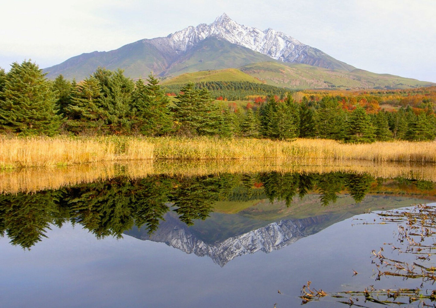 8 DAYS NORTH HOKKADIO PRIVATE TOUR