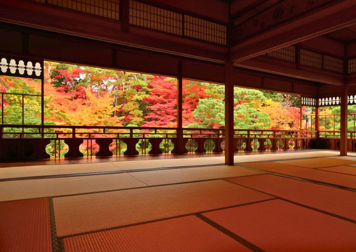 10天甲信越私人包團