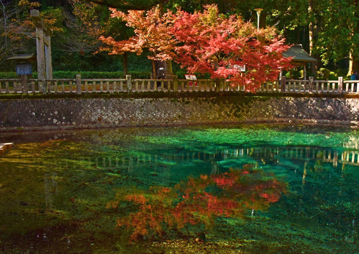 11天山陽・山陰私人包團