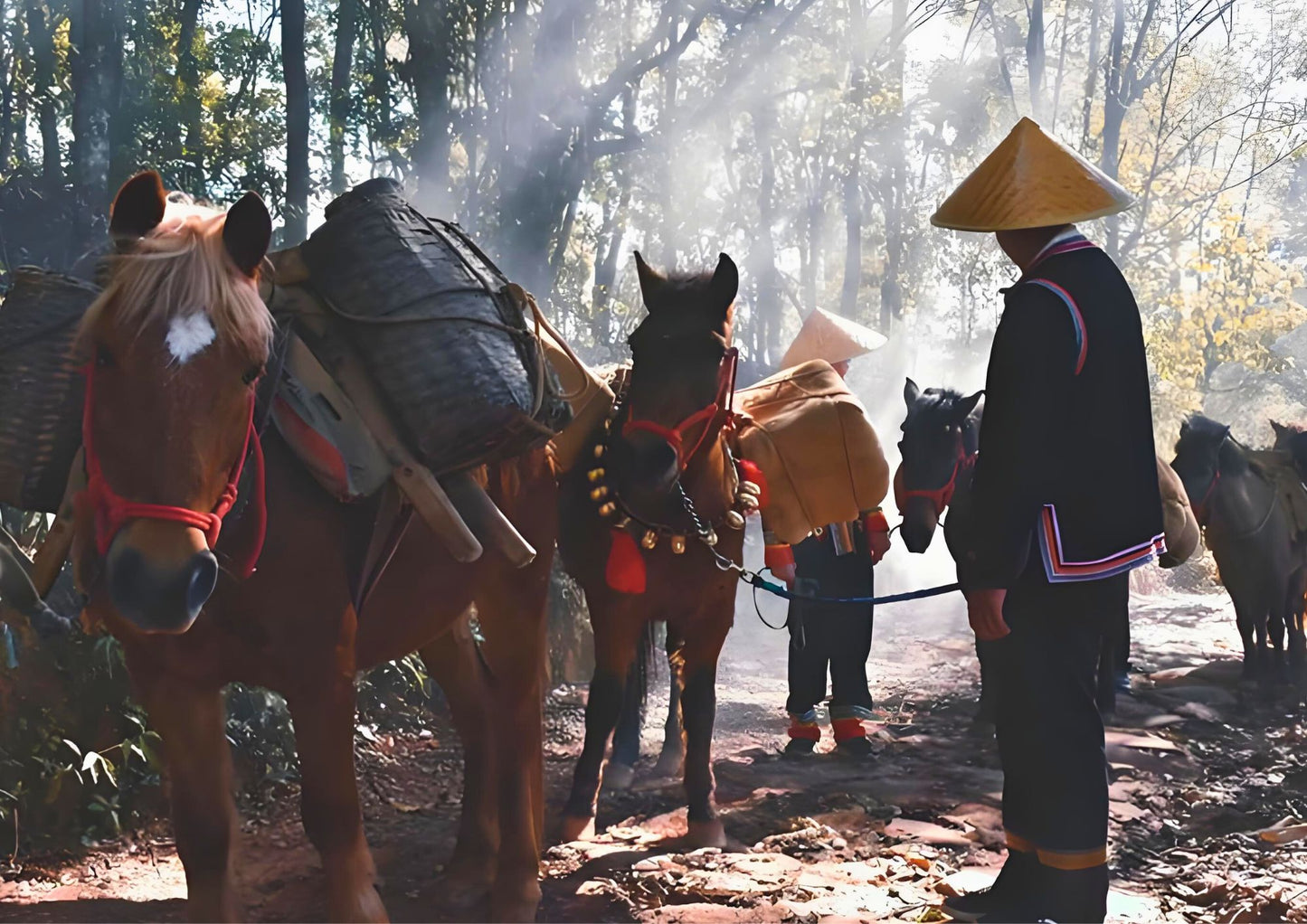 14 DAYS XISHUANGBANNA PRIVATE TOUR