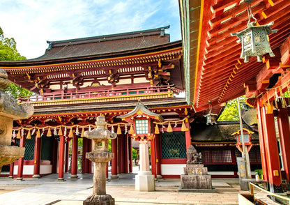 7 DAYS SOUTH KYUSHU PRIVATE TOUR