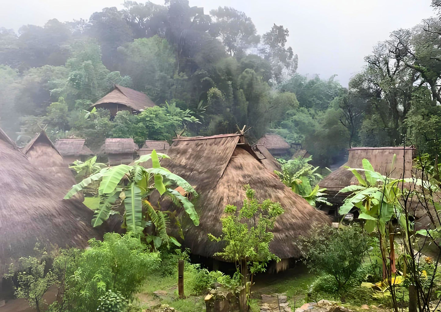 14 DAYS XISHUANGBANNA PRIVATE TOUR