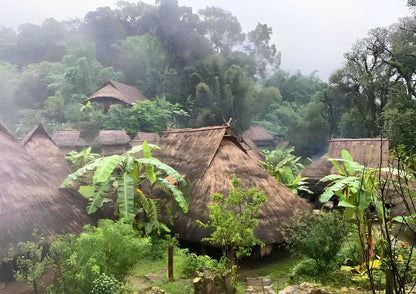 14 DAYS XISHUANGBANNA PRIVATE TOUR