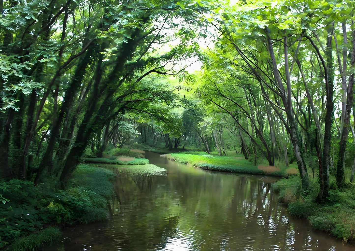 7日間の黄山プライベートツアー