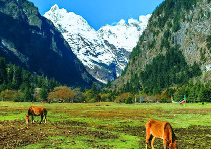 12 DAYS YUNNAN PRIVATE TOUR