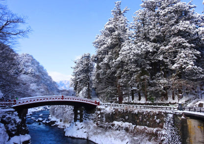 8 DAYS NORTH KANTO PRIVATE TOUR