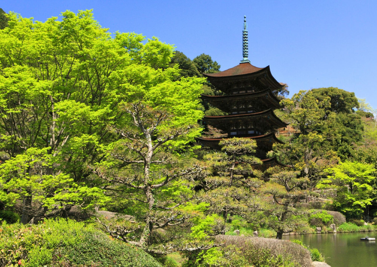 9天山陽・山陰私人包團