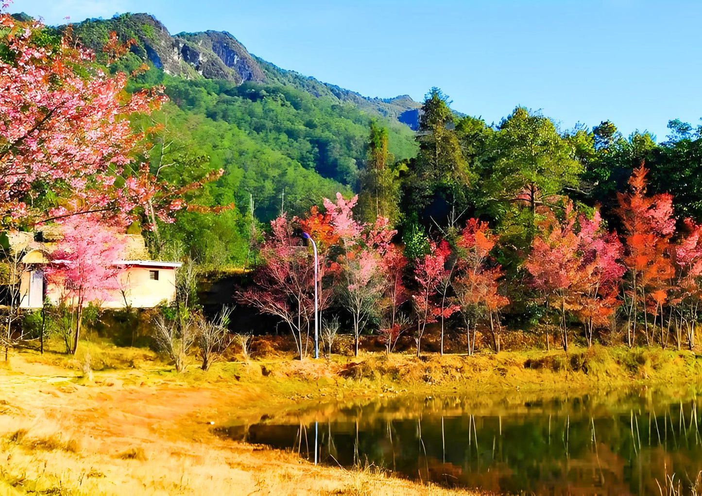 14 DAYS XISHUANGBANNA PRIVATE TOUR