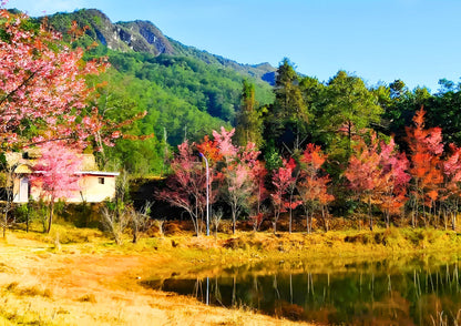 14 DAYS XISHUANGBANNA PRIVATE TOUR