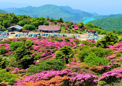 7 DAYS WEST KYUSHU PRIVATE TOUR