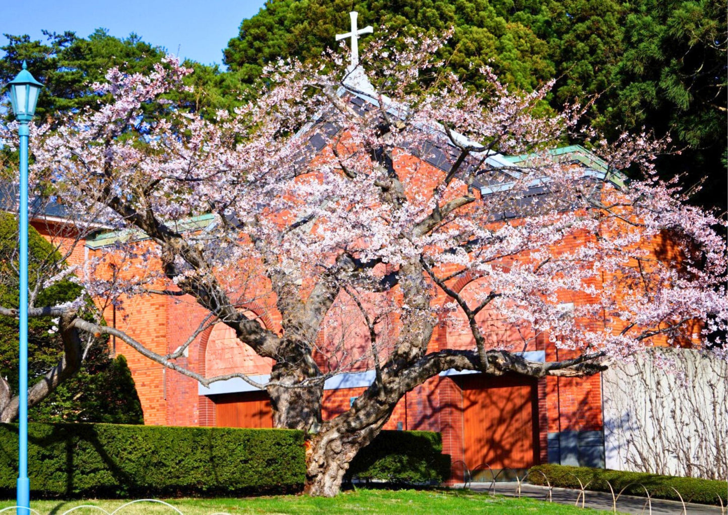 5 DAYS SOUTH HOKKADIO PRIVATE TOUR