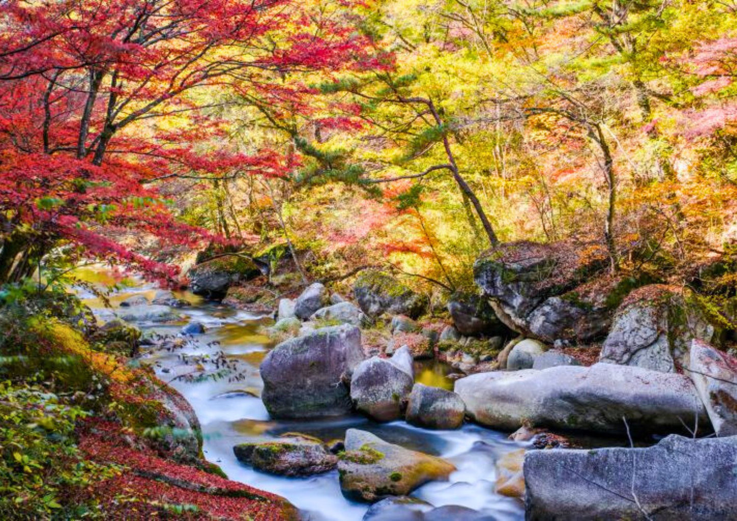 10天甲信越私人包團