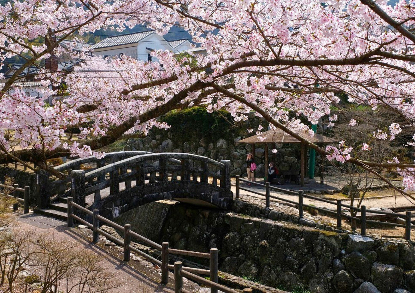 6 DAYS WEST KYUSHU PRIVATE TOUR